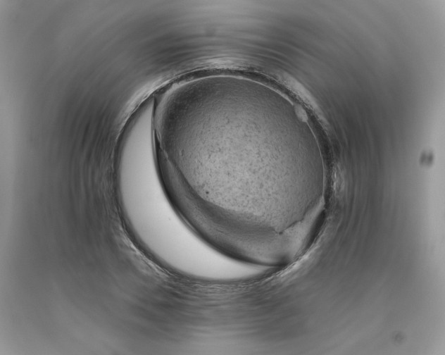 X0000094180930200710261128