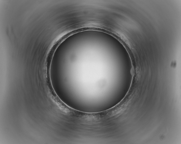 X0000094180931200710261128