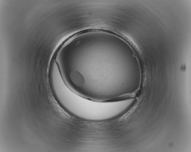 X0000094180932200710261128