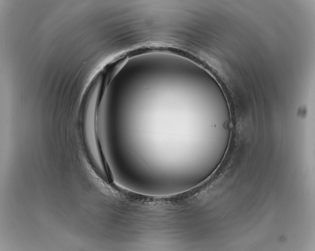 X0000094180934200710261128