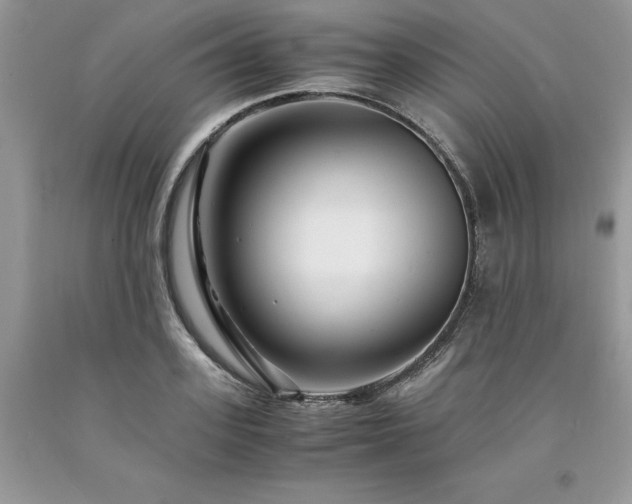X0000094180939200710261128