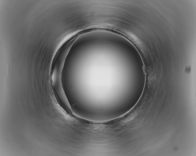 X0000094180940200710261128