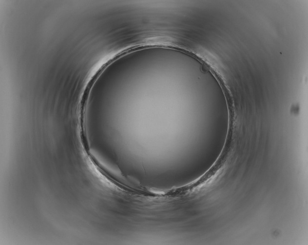 X0000094180941200710261128