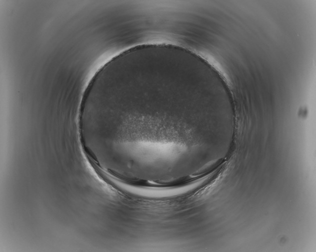 X0000094180943200710261128