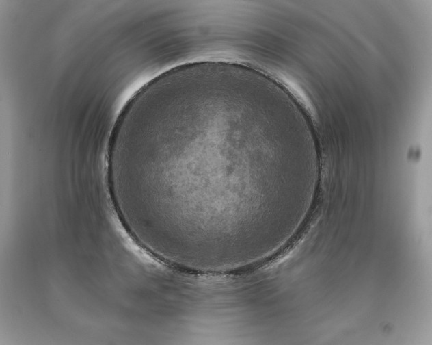 X0000094180944200710261128