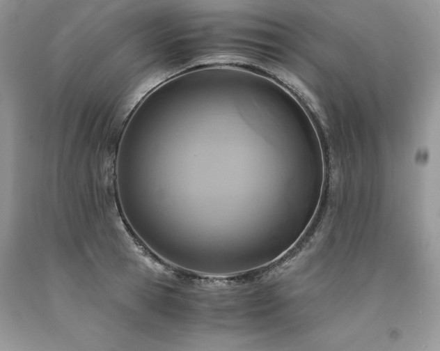 X0000094180945200710261128