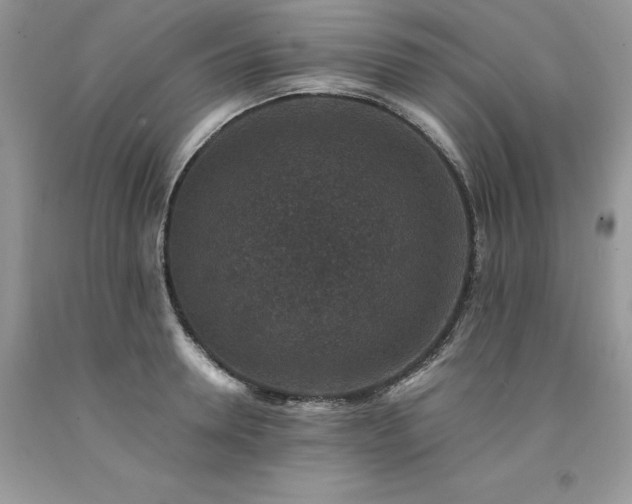 X0000094180946200710261128