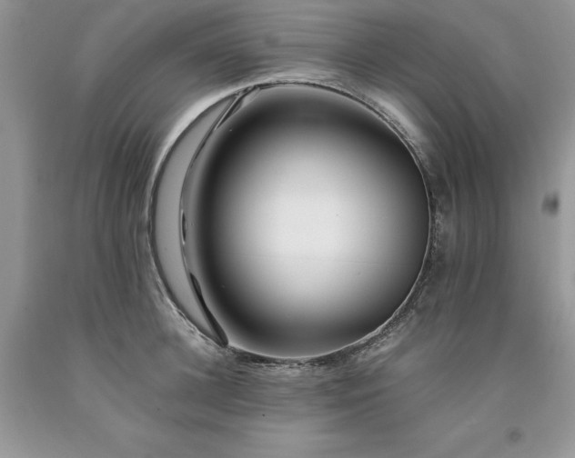 X0000094180948200710261128