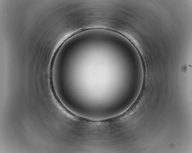 X0000094180949200710261128