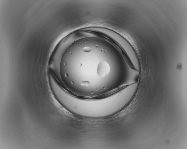 X0000094180950200710261128