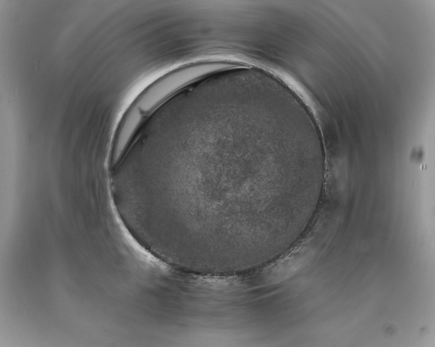 X0000094180951200710261129
