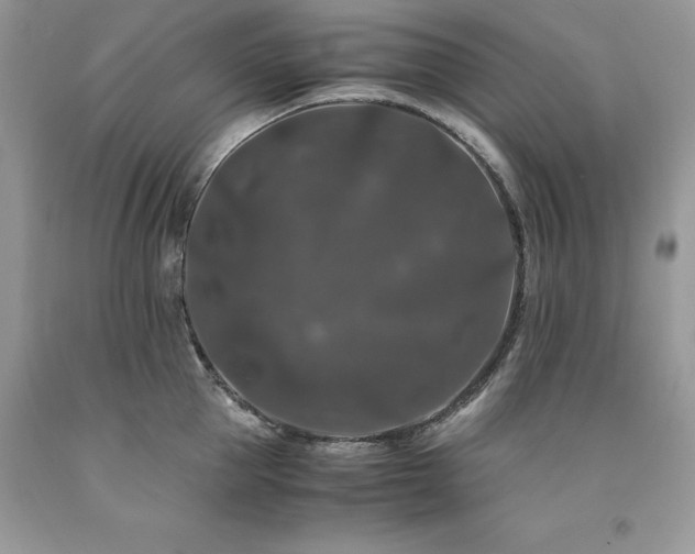 X0000094180953200710261129