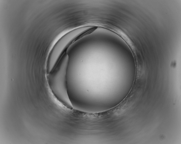 X0000094180955200710261129