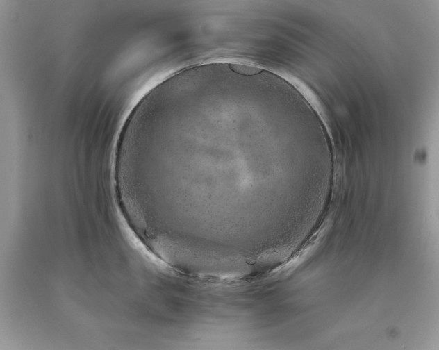 X0000094180957200710261129