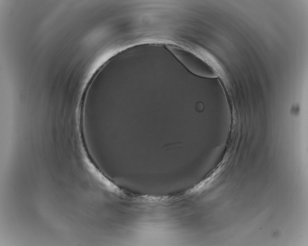 X0000094180958200710261129