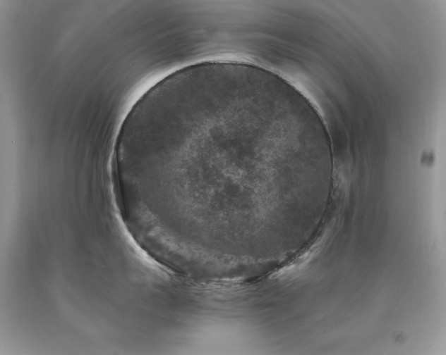 X0000094180959200710261129