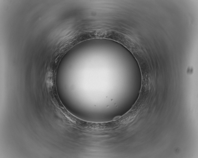 X0000094180962200710261128