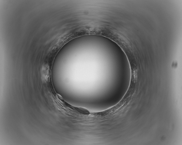 X0000094180963200710261128
