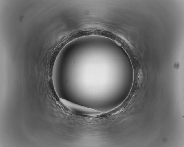 X0000094180965200710261128