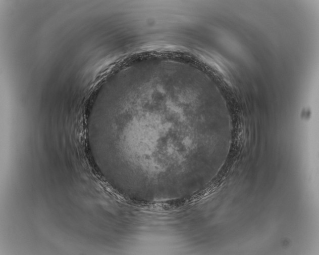 X0000094180966200710261128