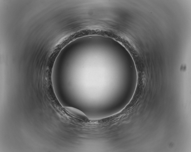 X0000094180968200710261128