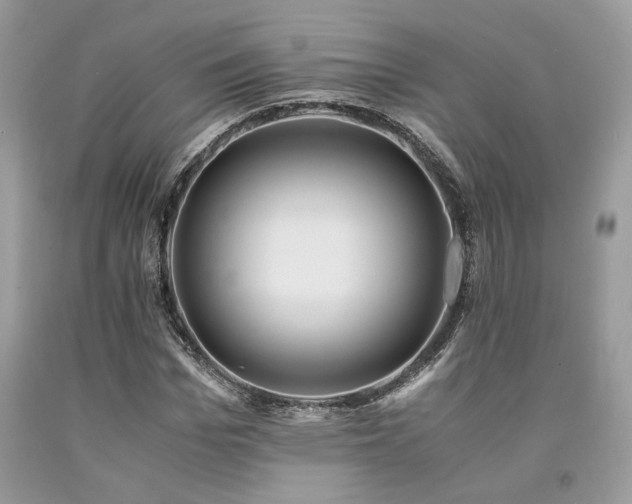 X0000094180969200710261128