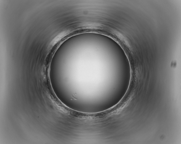 X0000094180970200710261128