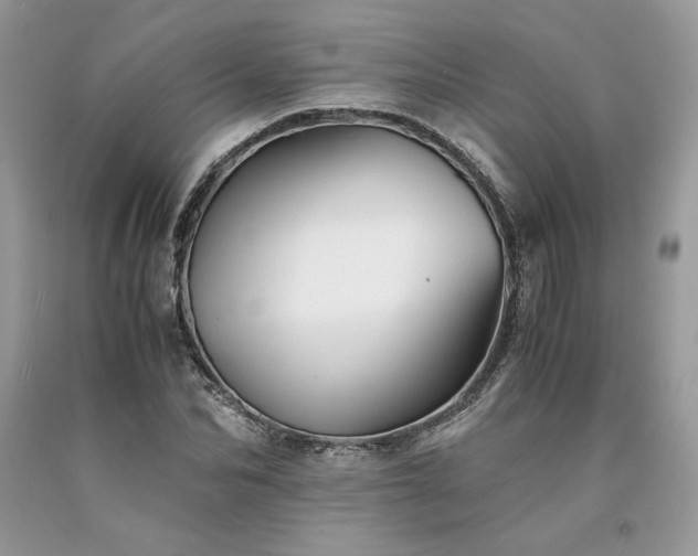 X0000094180974200710261128