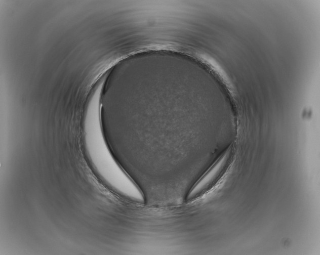 X0000094180977200710261128