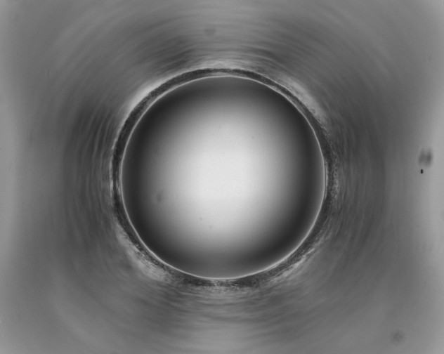 X0000094180980200710261128