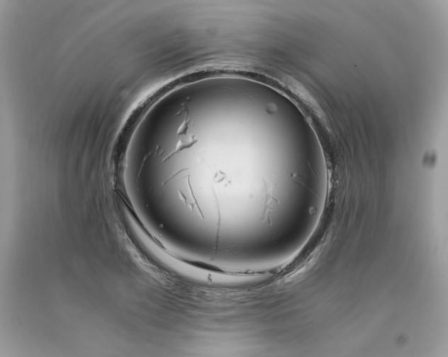X0000094180981200710261128