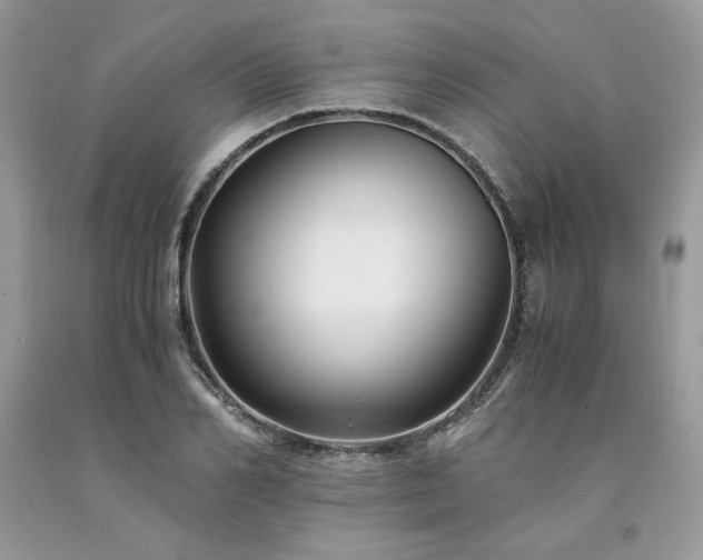 X0000094180982200710261128