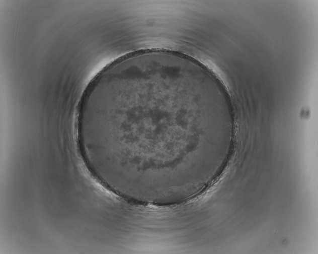 X0000094180983200710261128