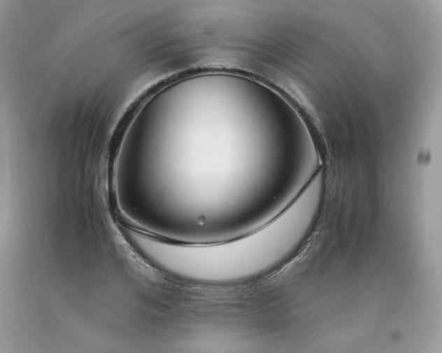 X0000094180984200710261128