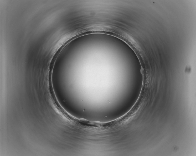 X0000094180986200710261128