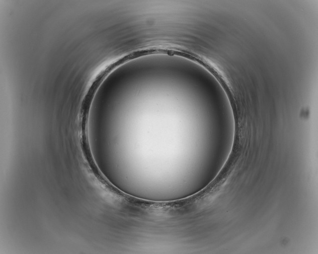 X0000094180987200710261128