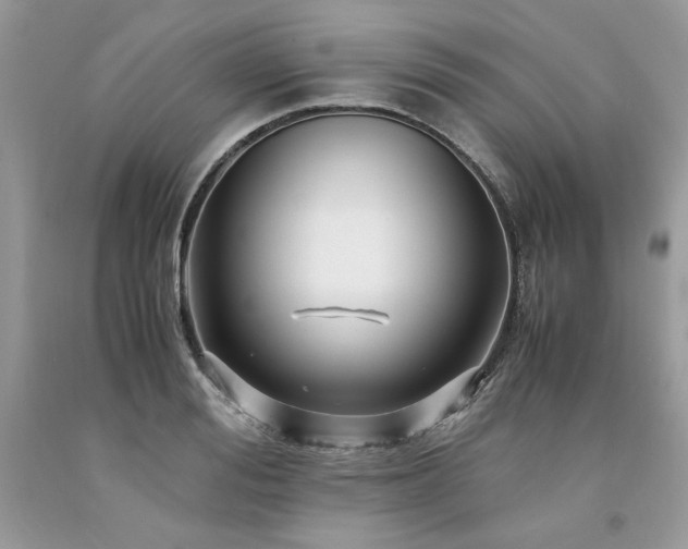 X0000094180988200710261128