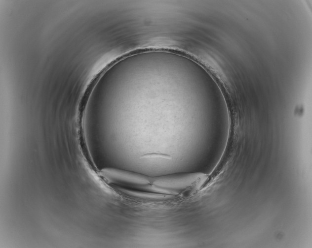 X0000094180990200710261128