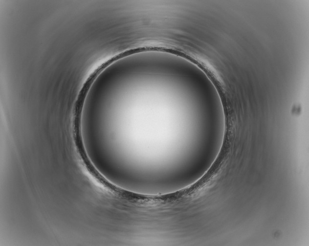 X0000094180991200710261128
