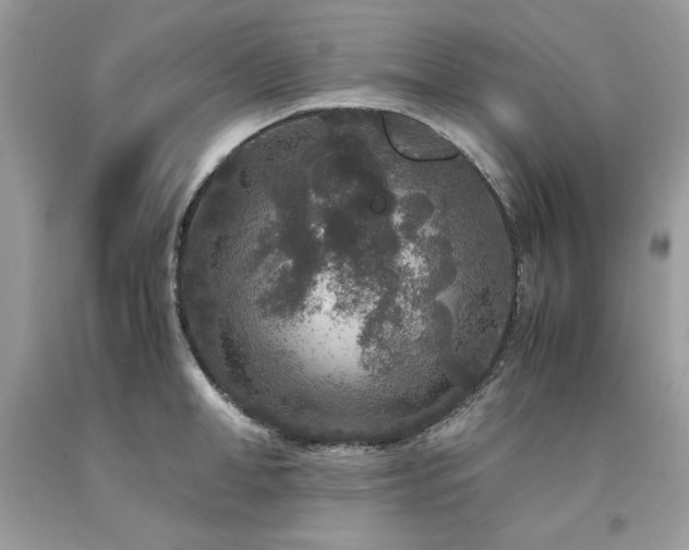 X0000094180998200710261127