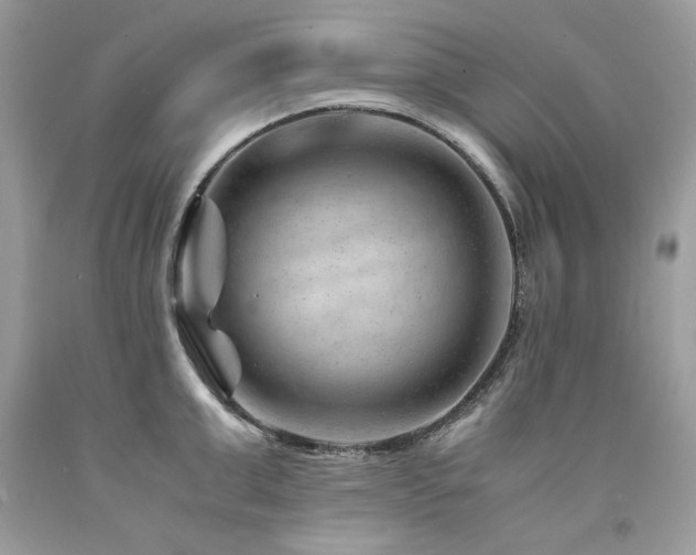 X0000094180999200710261127