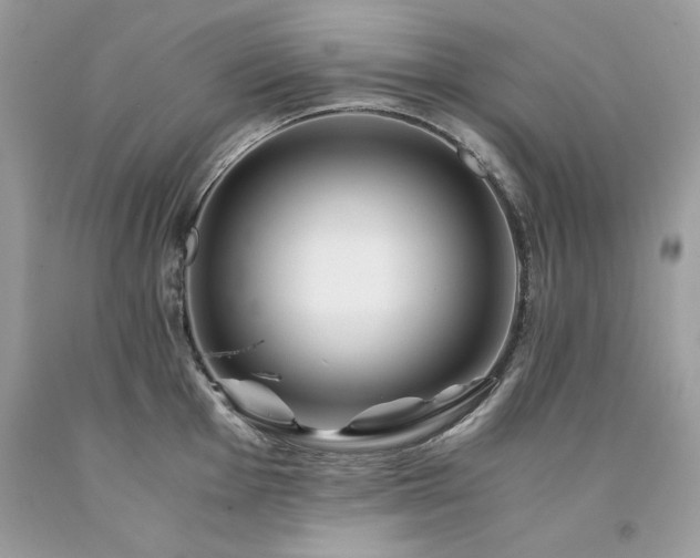 X0000094181001200710261127