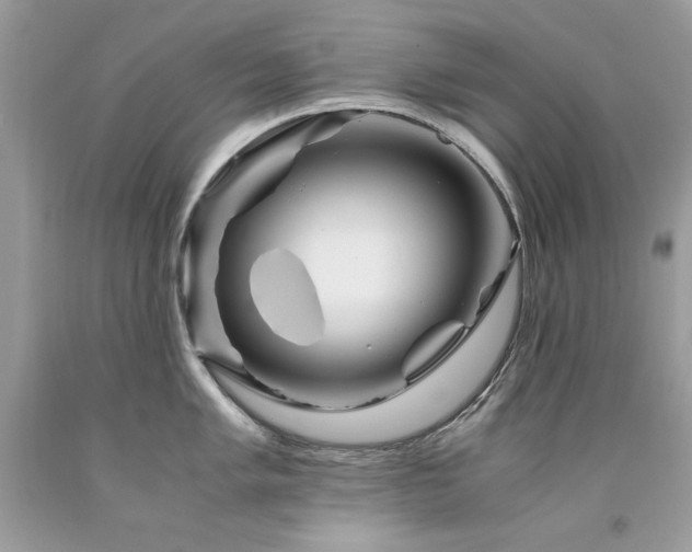 X0000094181005200710261127