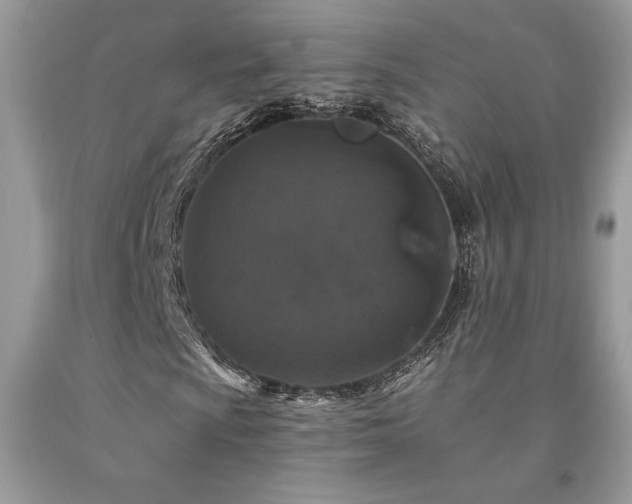 X0000094181009200710261127