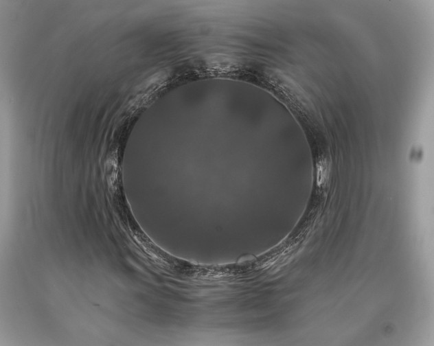 X0000094181011200710261127