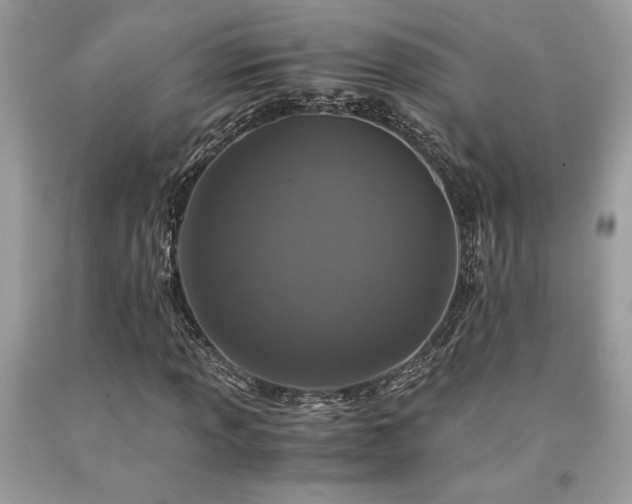 X0000094181013200710261127