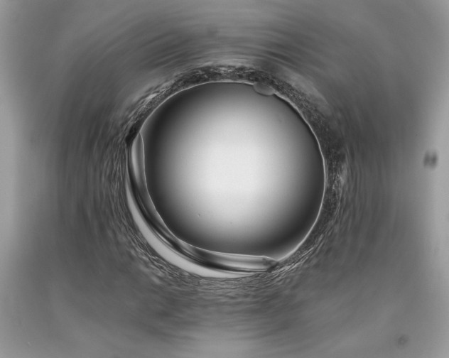 X0000094181014200710261127