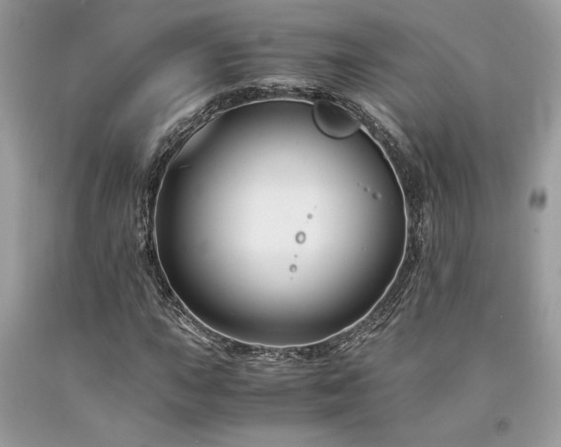 X0000094181015200710261127