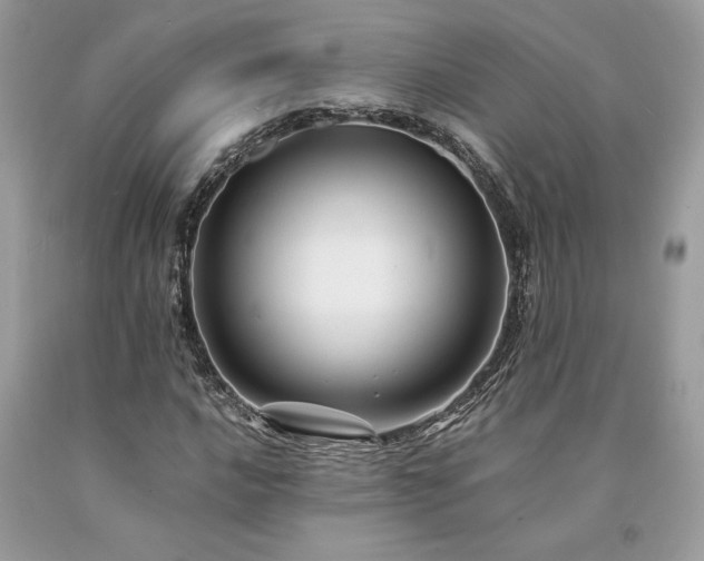 X0000094181016200710261127