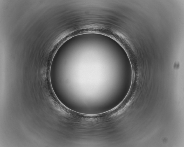 X0000094181017200710261127